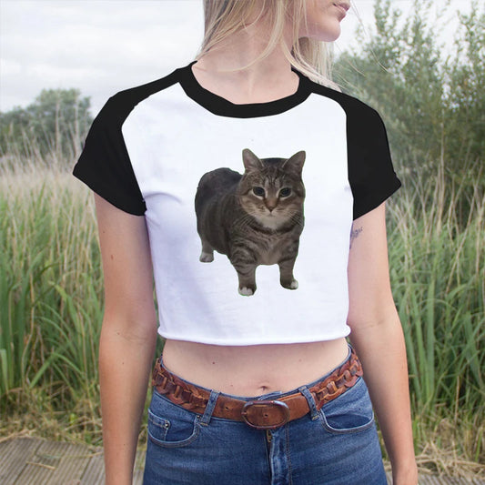 Funny Cat Print Casual Kawai T-Shirt