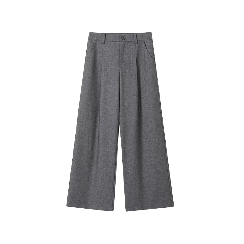 Gray Wide Leg Pleated Dress Pants