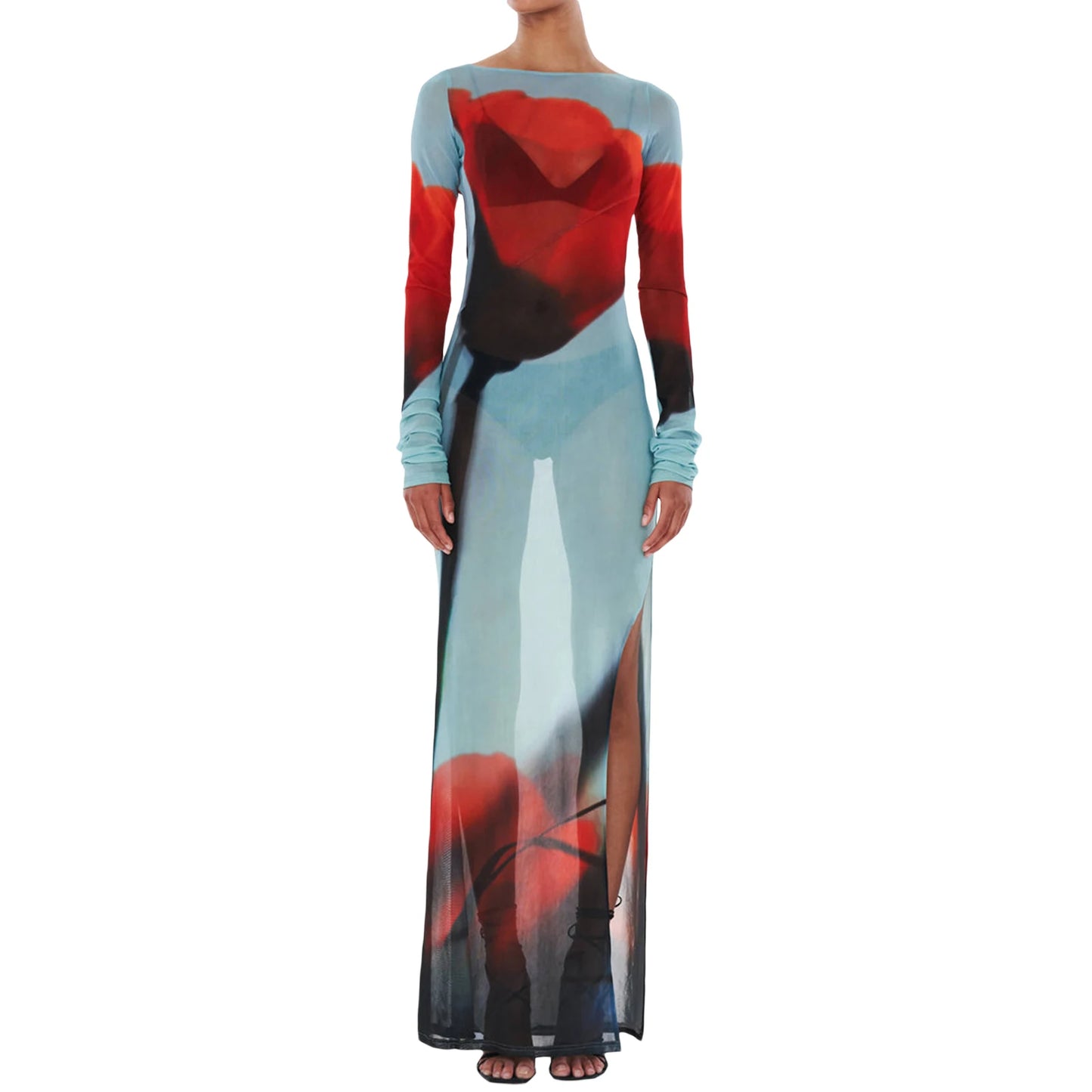 Sheer Floral Print Slim Fit Dress